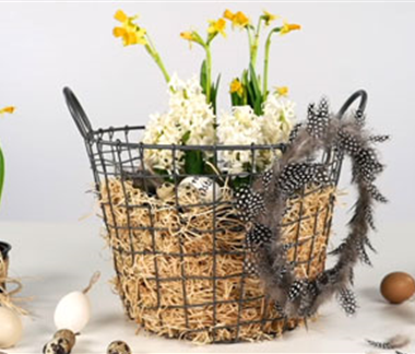 Ostern im Korb