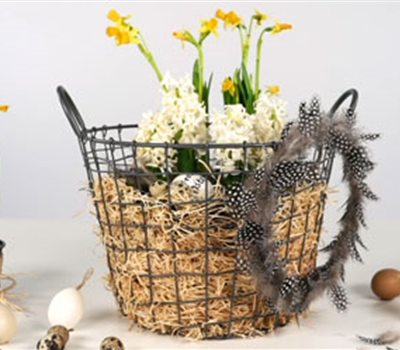 Ostern im Korb