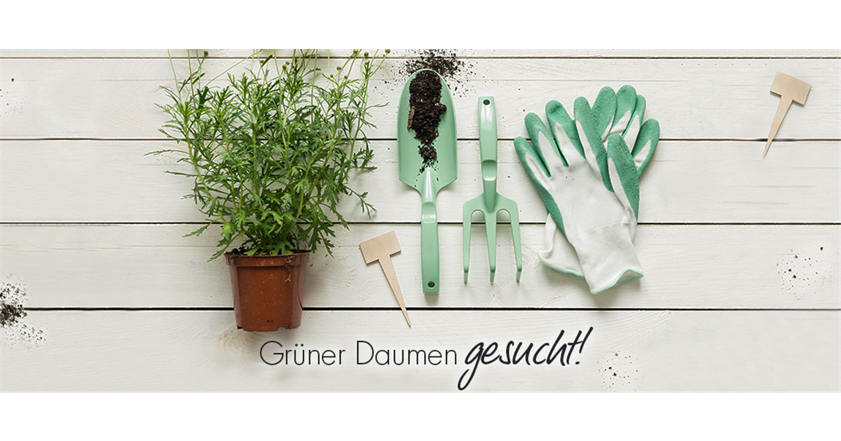 Gärtner/in für die Baumschul oder Staudenabteilung(m/w/d) in Bochum