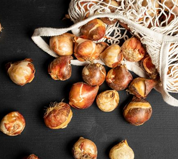 Ziergarten im November