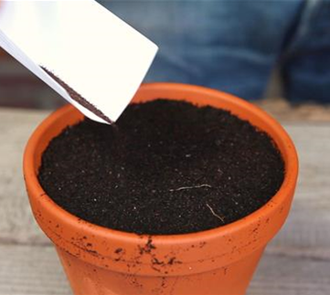 Ziergarten im Januar