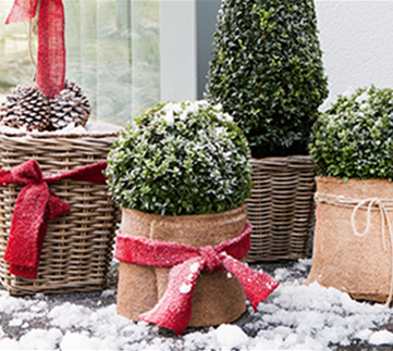 Allgemeine Gartenarbeit im Januar