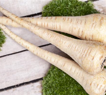 Gemüse-, Kräuter- und Obstgarten im November