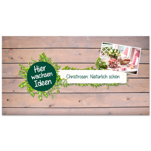 Christrosen natürlich dekoriert