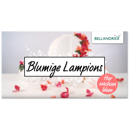 Blumige Lampions für die Gartenparty