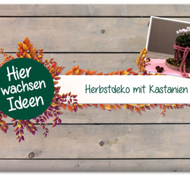 Herbstdeko mit Kastanien