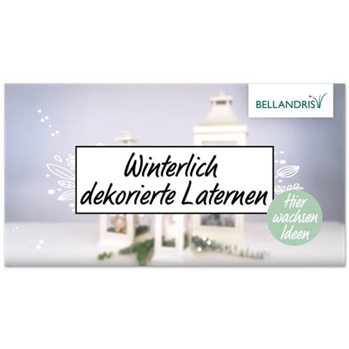 Dekorierte Laterne