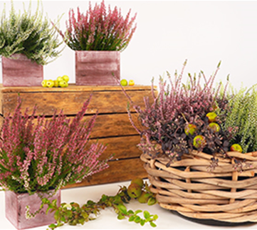 DIY Herbstlicher Korb