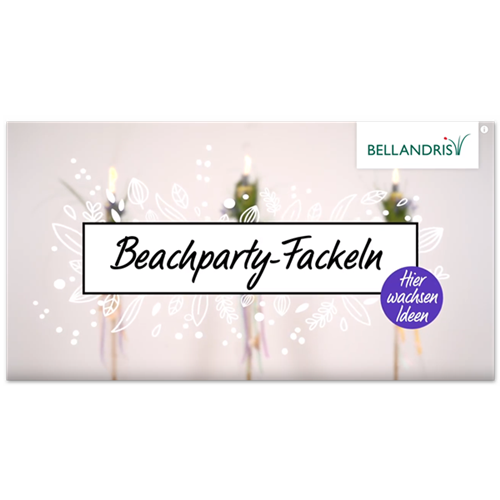 Beachparty-Fackeln