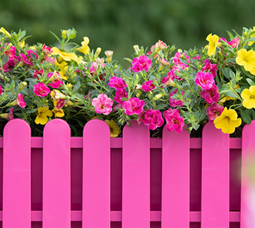 Balkonkästen bepflanzen 