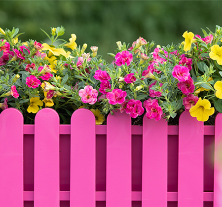 Balkonkästen bepflanzen 