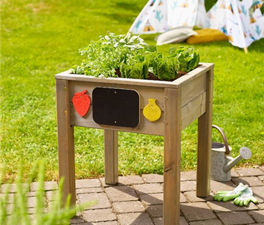 Pflanztipps im Hochbeet